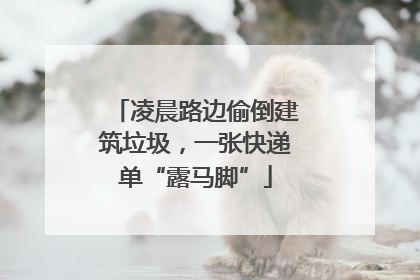 凌晨路边偷倒建筑垃圾，一张快递单“露马脚”